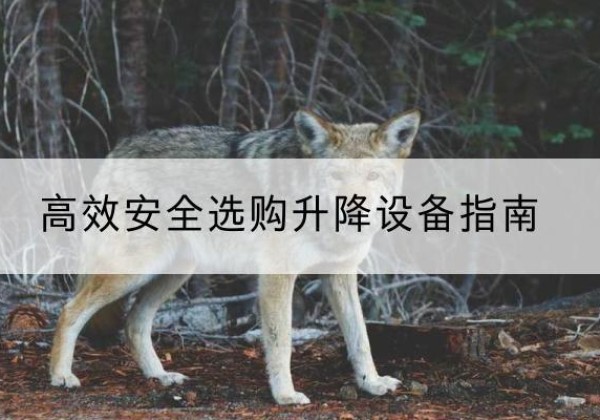 青白江升降货梯厂家推荐-*安全选购升降设备指南