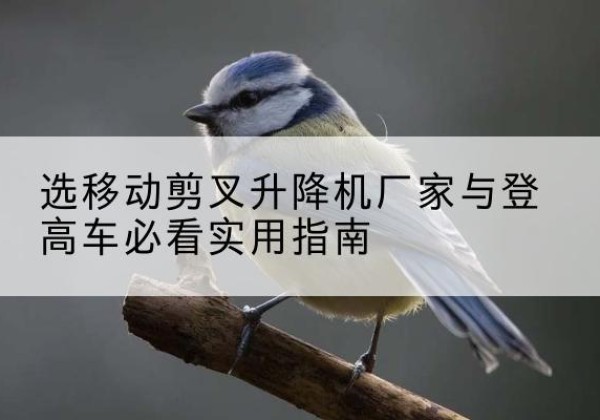 青白江电动升降机厂家-选移动剪叉升降机厂家与登高车必看实用指南