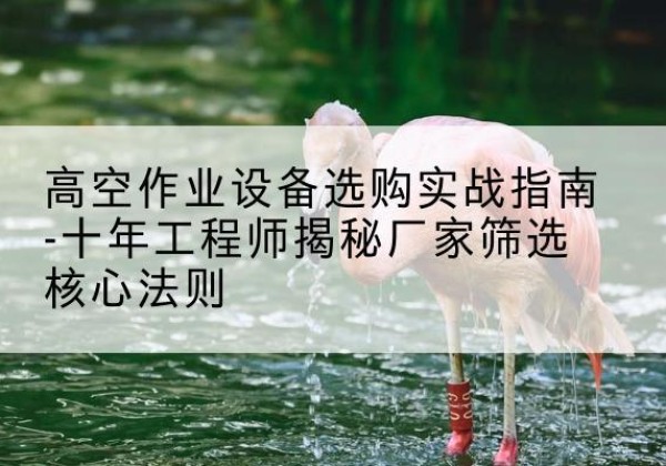 青白江剪叉式升降机厂家-高空作业设备选购实战指南-十年工程师揭秘厂家筛选核心法则